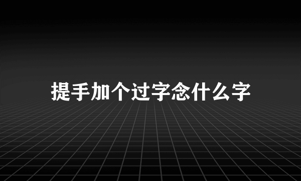 提手加个过字念什么字