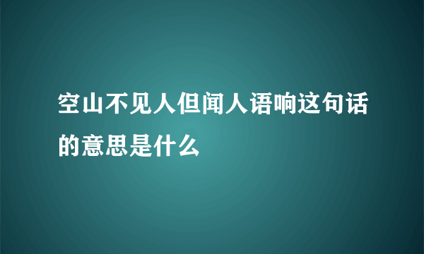 空山不见人但闻人语响这句话的意思是什么