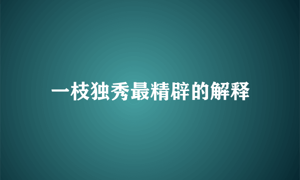一枝独秀最精辟的解释