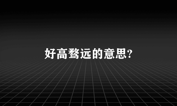 好高骛远的意思?