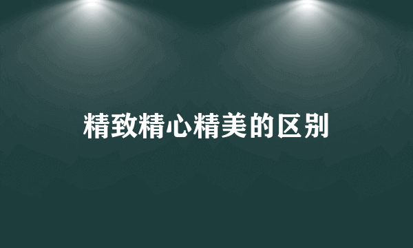 精致精心精美的区别