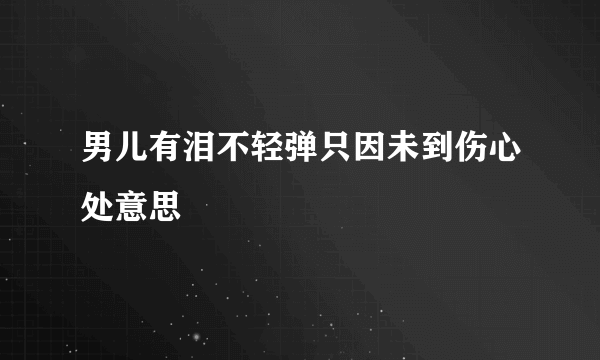 男儿有泪不轻弹只因未到伤心处意思