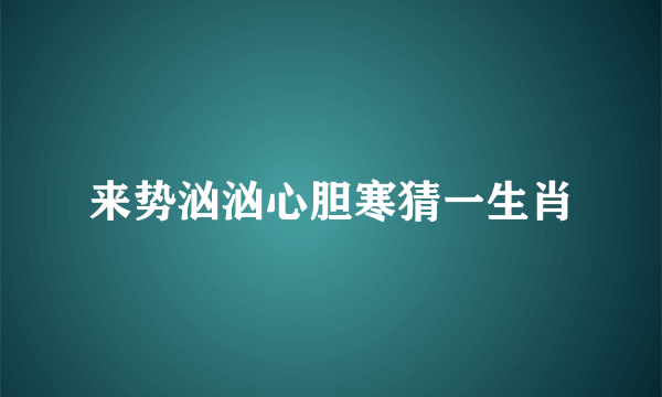 来势汹汹心胆寒猜一生肖