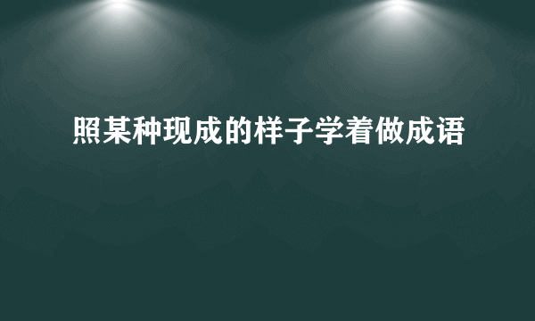 照某种现成的样子学着做成语