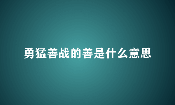 勇猛善战的善是什么意思