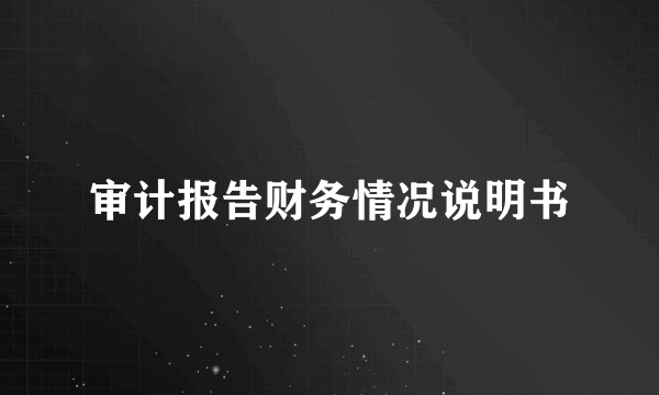 审计报告财务情况说明书