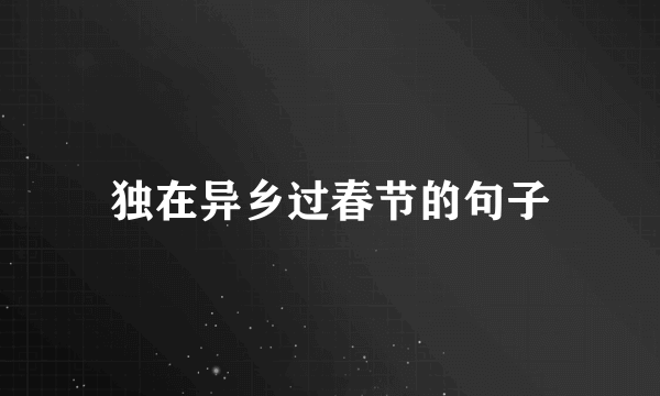 独在异乡过春节的句子