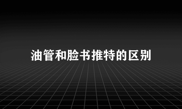 油管和脸书推特的区别