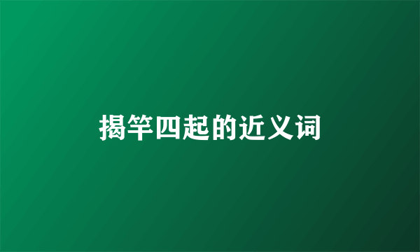 揭竿四起的近义词