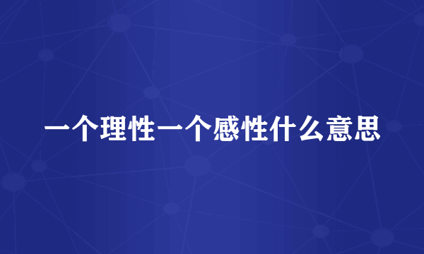 一个理性一个感性什么意思