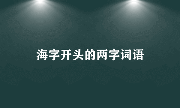海字开头的两字词语