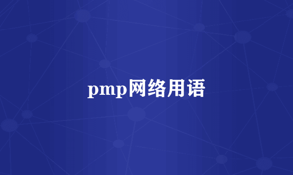 pmp网络用语