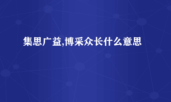 集思广益,博采众长什么意思