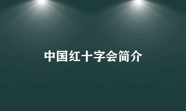 中国红十字会简介