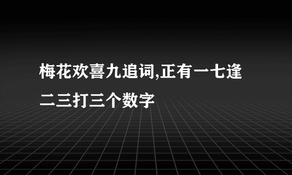 梅花欢喜九追词,正有一七逢二三打三个数字