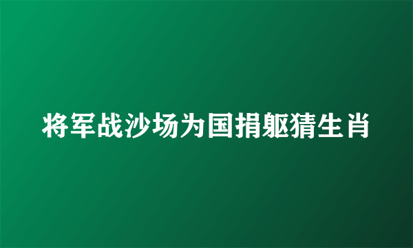 将军战沙场为国捐躯猜生肖
