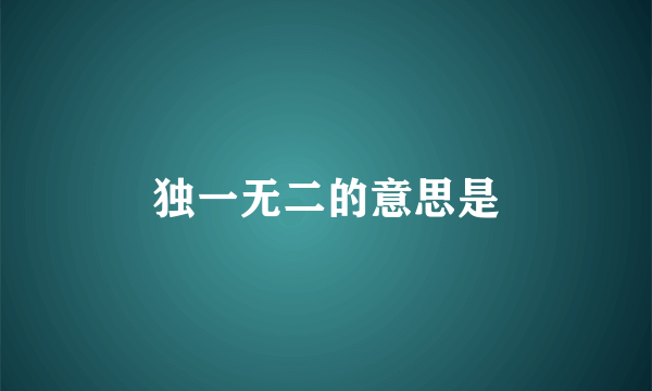 独一无二的意思是