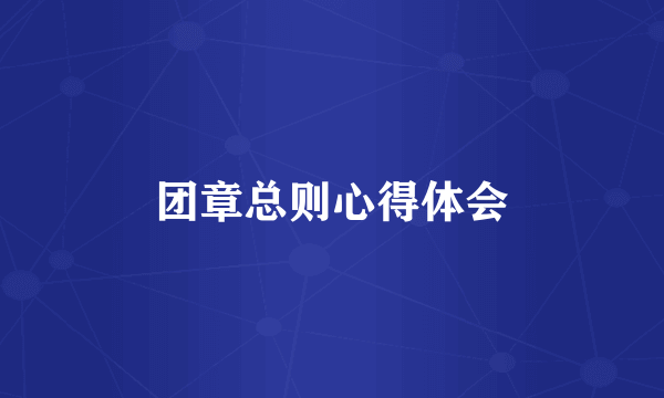 团章总则心得体会