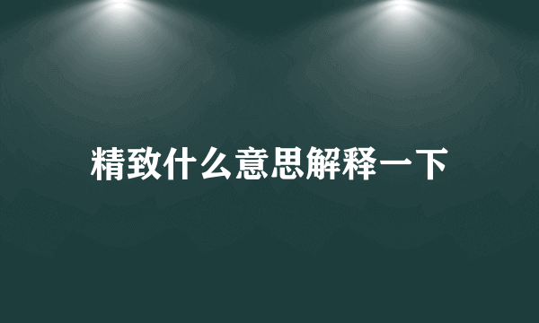 精致什么意思解释一下