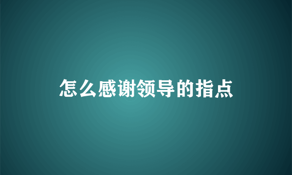 怎么感谢领导的指点
