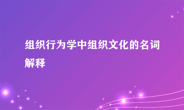 组织行为学中组织文化的名词解释
