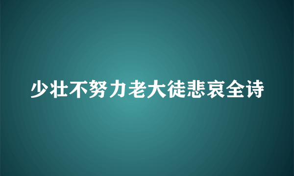 少壮不努力老大徒悲哀全诗