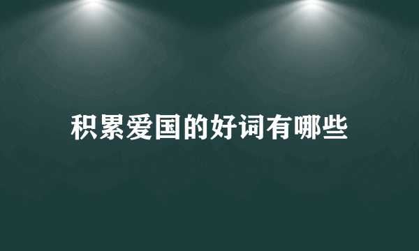 积累爱国的好词有哪些