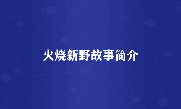 火烧新野故事简介