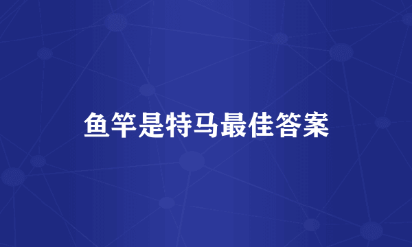鱼竿是特马最佳答案