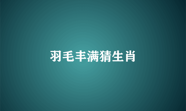 羽毛丰满猜生肖