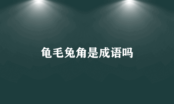 龟毛兔角是成语吗