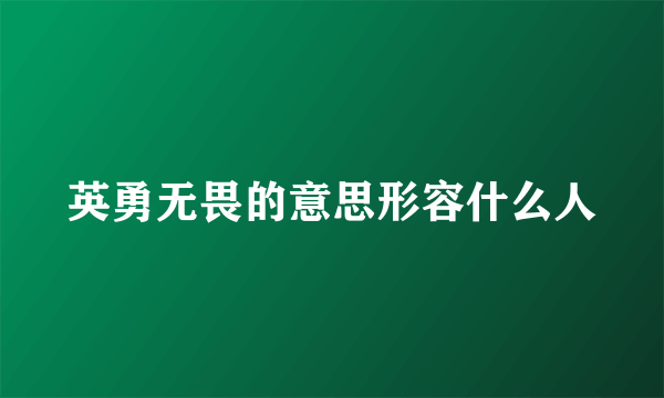 英勇无畏的意思形容什么人
