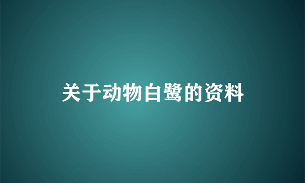 关于动物白鹭的资料