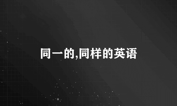 同一的,同样的英语