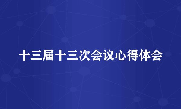 十三届十三次会议心得体会