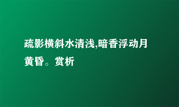 疏影横斜水清浅,暗香浮动月黄昏。赏析