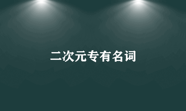 二次元专有名词