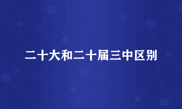 二十大和二十届三中区别