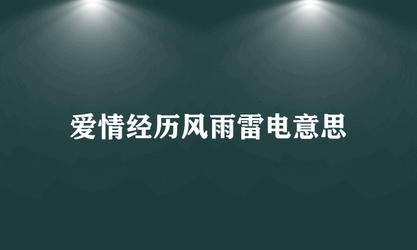 爱情经历风雨雷电意思