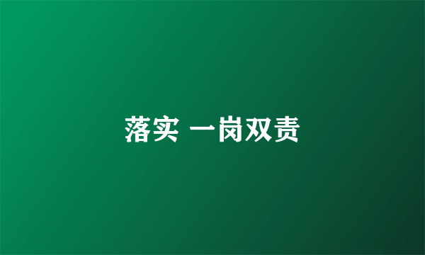 落实 一岗双责