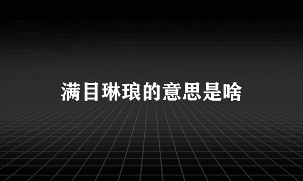 满目琳琅的意思是啥