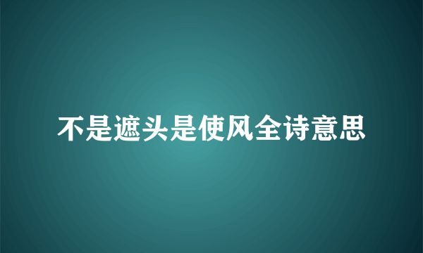 不是遮头是使风全诗意思