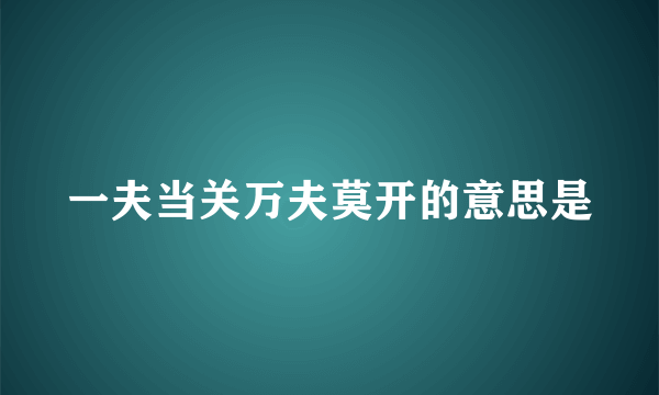 一夫当关万夫莫开的意思是