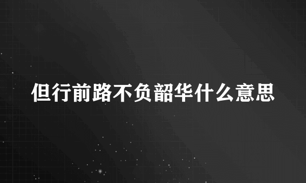 但行前路不负韶华什么意思