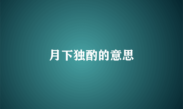 月下独酌的意思