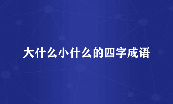 大什么小什么的四字成语