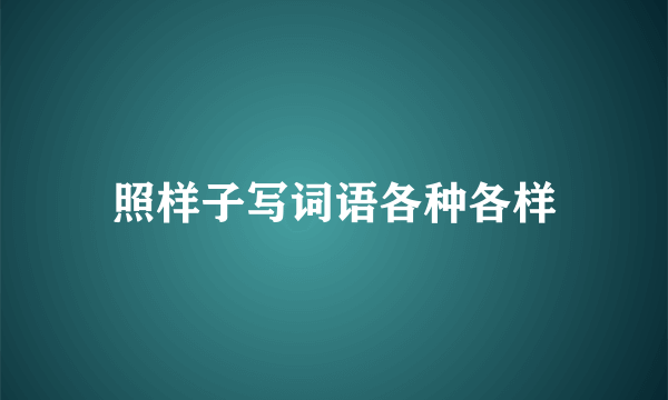 照样子写词语各种各样