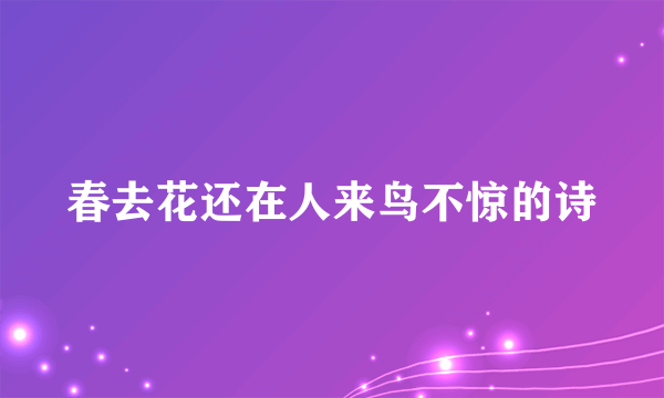 春去花还在人来鸟不惊的诗