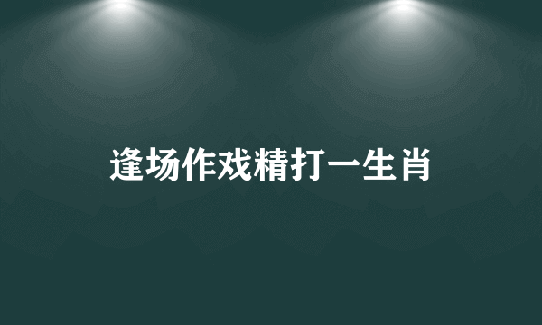 逢场作戏精打一生肖