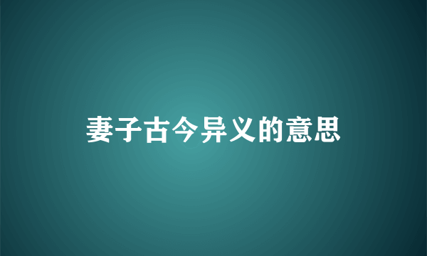 妻子古今异义的意思